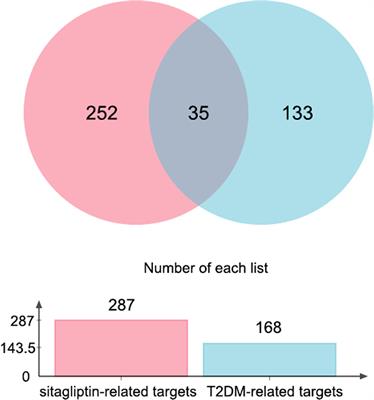 Exploring novel targets of sitagliptin for type 2 diabetes mellitus: Network pharmacology, molecular docking, molecular dynamics simulation, and SPR approaches